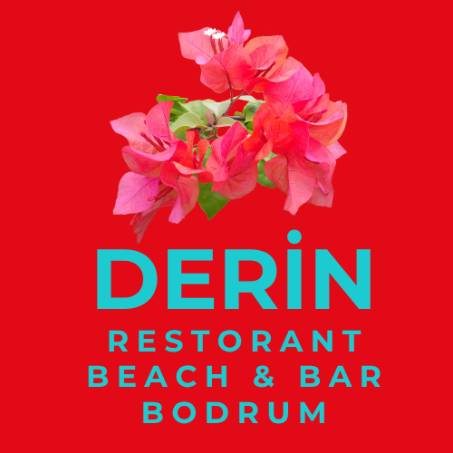 Derin Restorant Beach & Bar logosu